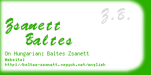 zsanett baltes business card